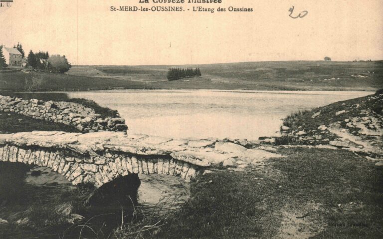 L'étang des Oussines